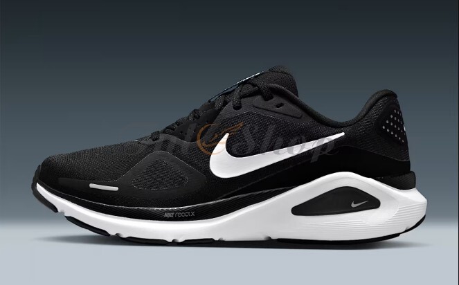 Nike Zoom Structure