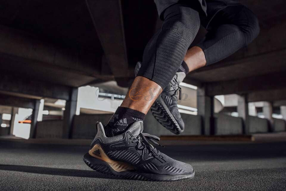 Sự khác nhau giữa Alphabounce beyond 2018 với Alpha beyond 2017