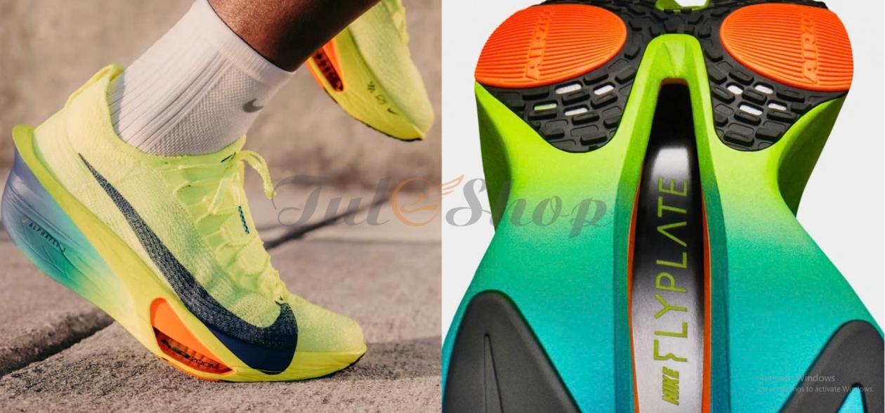 z6503142494101_eaa0e66bc74c0b7c935a517e4c746ef0