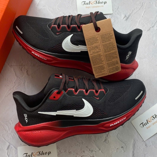 Air Zoom Pegasus 41 Black Red