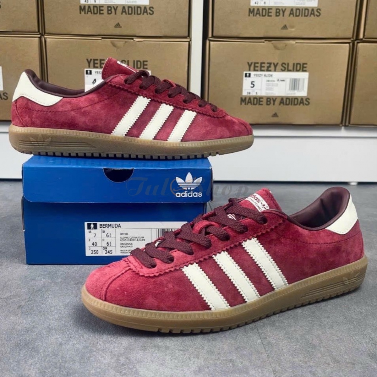 Adidas Bermuda Collegiate Burgundy