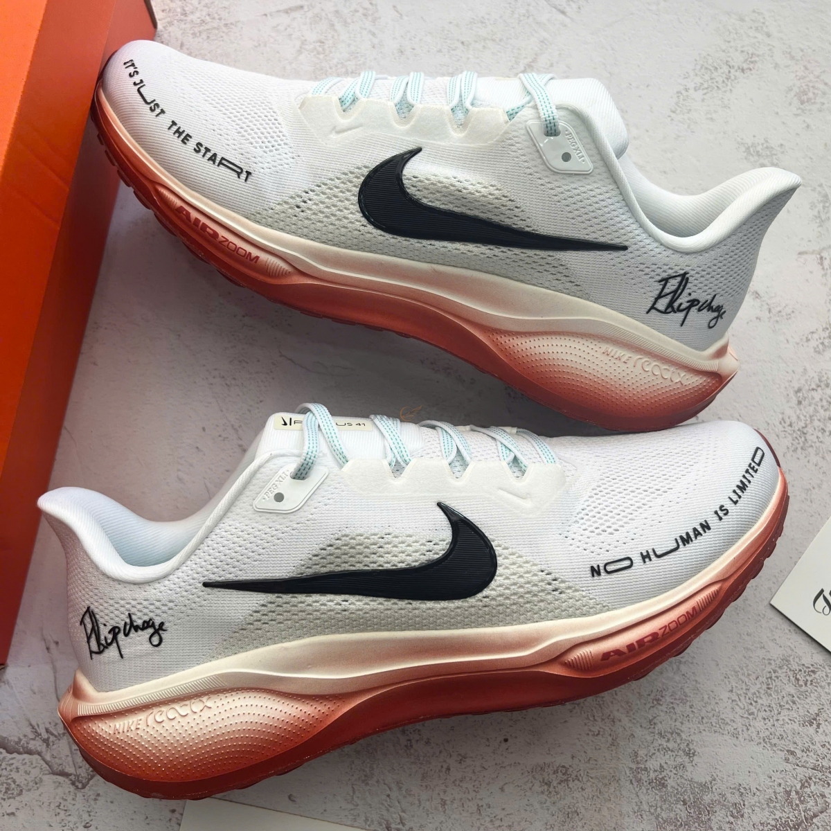 Air Zoom Pegasus 41 Eliud Kipchoge