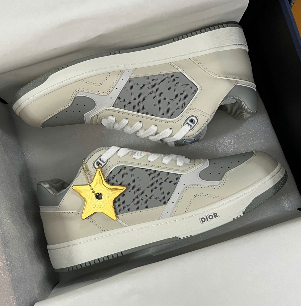 Dior B27 Low-Top Oblique Galaxy Light Grey