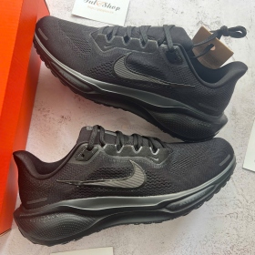 Air Zoom Pegasus 41 All Black