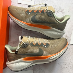Air Zoom Pegasus 41 Cargo Khaki