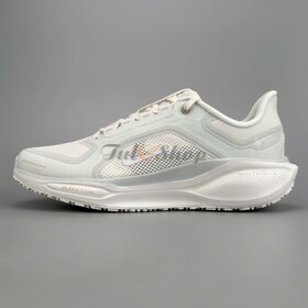 Air Zoom Pegasus 41 Gore-Tex Proton Dust