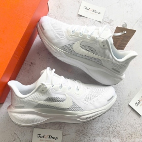 Air Zoom Pegasus 41 White/Pure Platinum