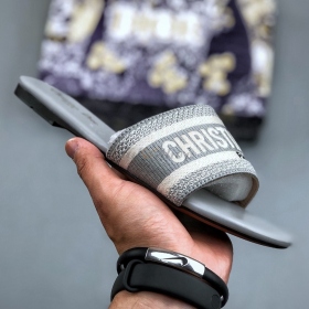 Dior Dway Slide Grey Toile