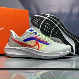 Nike Air Zoom Pegasus 39 White Blue
