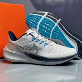 Nike Air Zoom Pegasus 39 White Silver Navy