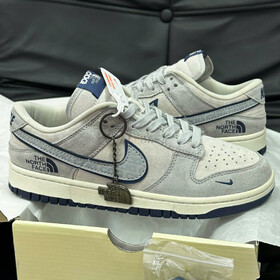 Nike Dunk Low The North Face Gry