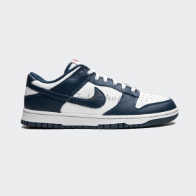 Nike Dunk Low Valerian Blue