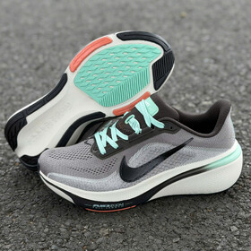 Nike Pegasus 42 Grey Mint