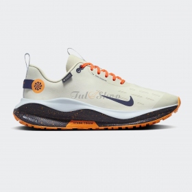 Giày Nike ReactX Infinity Run 4 Gore-Tex Beige Sea Glass